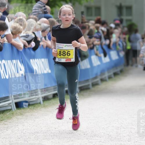 17.05.2025 - Störlauf H.Heesch http://msf.ph/oto/7866401 17.05.2025 14:10:49 Ziel  meine-sportfotos.de