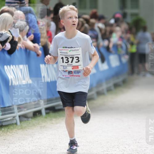 17.05.2025 - Störlauf H.Heesch http://msf.ph/oto/7866457 17.05.2025 14:10:55 Ziel  meine-sportfotos.de