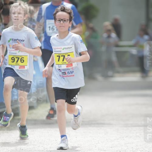 17.05.2025 - Störlauf H.Heesch http://msf.ph/oto/7866546 17.05.2025 14:11:09 Ziel  meine-sportfotos.de