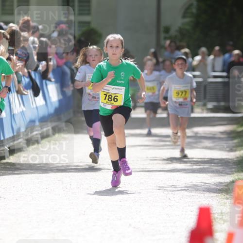 17.05.2025 - Störlauf H.Heesch http://msf.ph/oto/7867076 17.05.2025 14:12:20 Ziel  meine-sportfotos.de