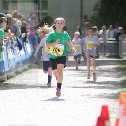 17.05.2025 - Störlauf H.Heesch http://msf.ph/oto/7867081 17.05.2025 14:12:20 Ziel  meine-sportfotos.de