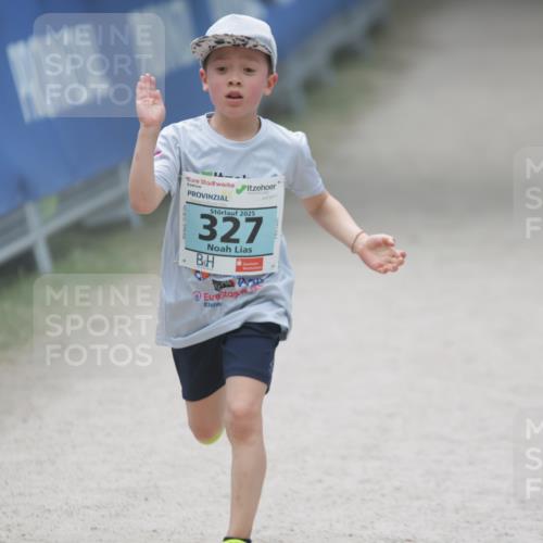 17.05.2025 - Störlauf H.Heesch http://msf.ph/oto/7867529 17.05.2025 13:42:40 Ziel  meine-sportfotos.de