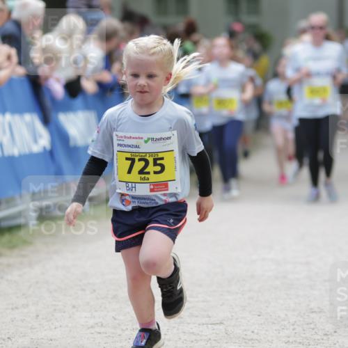 17.05.2025 - Störlauf H.Heesch http://msf.ph/oto/7868528 17.05.2025 14:14:31 Ziel  meine-sportfotos.de