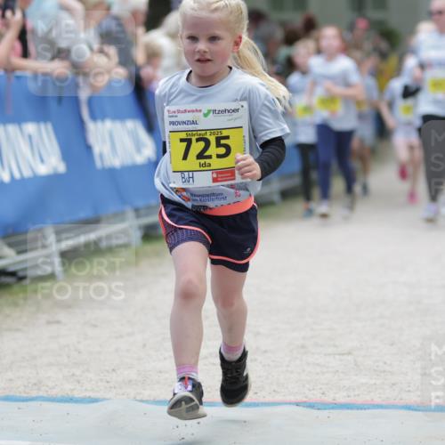 17.05.2025 - Störlauf H.Heesch http://msf.ph/oto/7868542 17.05.2025 14:14:31 Ziel  meine-sportfotos.de