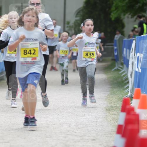 17.05.2025 - Störlauf H.Heesch http://msf.ph/oto/7868576 17.05.2025 14:14:33 Ziel  meine-sportfotos.de