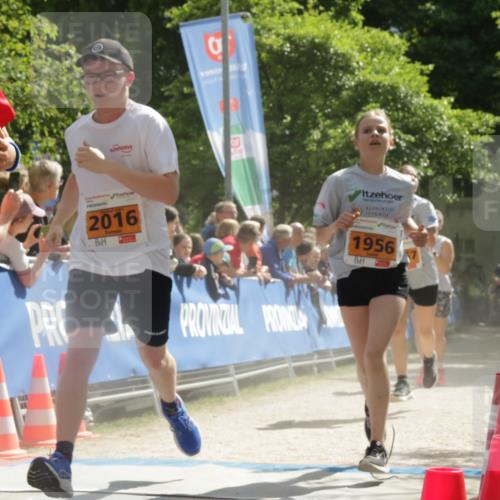 17.05.2025 - Störlauf H.Heesch http://msf.ph/oto/7869269 17.05.2025 15:28:25 Ziel  meine-sportfotos.de