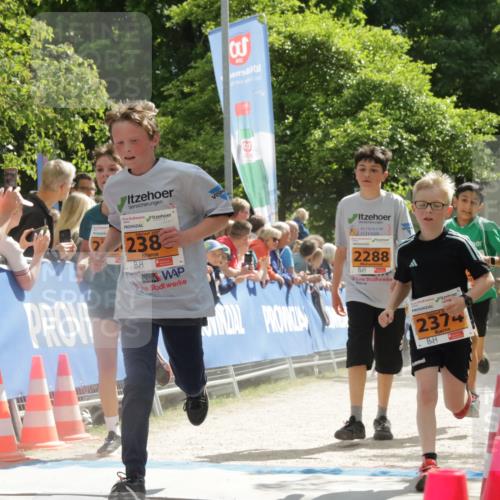 17.05.2025 - Störlauf H.Heesch http://msf.ph/oto/7869580 17.05.2025 15:29:55 Ziel  meine-sportfotos.de