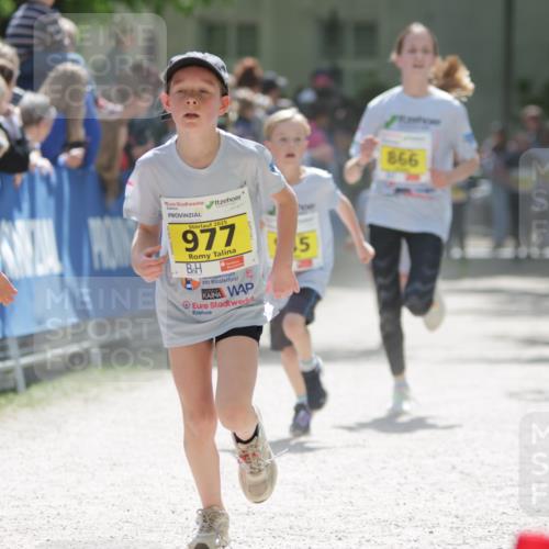 17.05.2025 - Störlauf H.Heesch http://msf.ph/oto/7871202 17.05.2025 14:12:26 Ziel  meine-sportfotos.de
