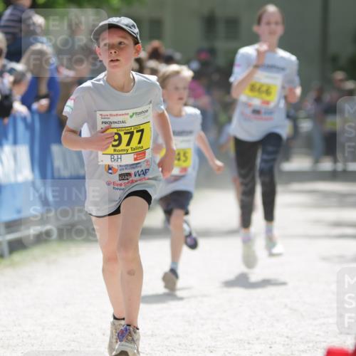 17.05.2025 - Störlauf H.Heesch http://msf.ph/oto/7871212 17.05.2025 14:12:26 Ziel  meine-sportfotos.de