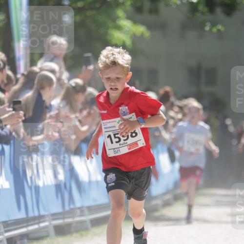 17.05.2025 - Störlauf H.Heesch http://msf.ph/oto/7872067 17.05.2025 14:41:32 Ziel  meine-sportfotos.de