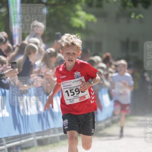 17.05.2025 - Störlauf H.Heesch http://msf.ph/oto/7872068 17.05.2025 14:41:32 Ziel  meine-sportfotos.de