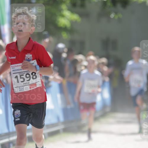 17.05.2025 - Störlauf H.Heesch http://msf.ph/oto/7872074 17.05.2025 14:41:33 Ziel  meine-sportfotos.de