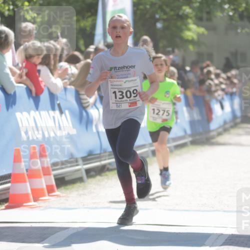 17.05.2025 - Störlauf H.Heesch http://msf.ph/oto/7872651 17.05.2025 14:43:26 Ziel  meine-sportfotos.de