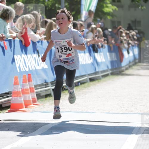 17.05.2025 - Störlauf H.Heesch http://msf.ph/oto/7872799 17.05.2025 14:44:04 Ziel  meine-sportfotos.de