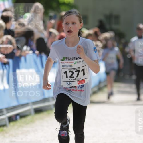 17.05.2025 - Störlauf H.Heesch http://msf.ph/oto/7873079 17.05.2025 14:44:51 Ziel  meine-sportfotos.de