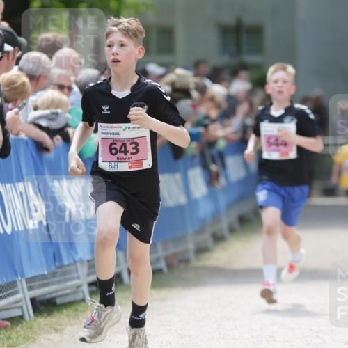 17.05.2025 - Störlauf H.Heesch http://msf.ph/oto/7874063 17.05.2025 13:55:35 Ziel  meine-sportfotos.de