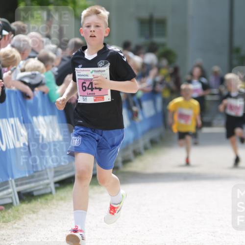 17.05.2025 - Störlauf H.Heesch http://msf.ph/oto/7874067 17.05.2025 13:55:37 Ziel  meine-sportfotos.de