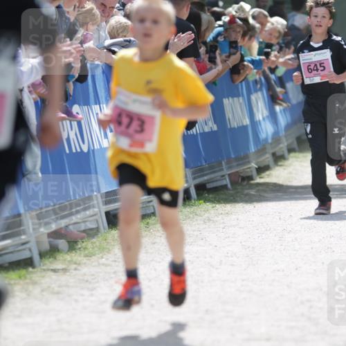 17.05.2025 - Störlauf H.Heesch http://msf.ph/oto/7874079 17.05.2025 13:55:42 Ziel  meine-sportfotos.de