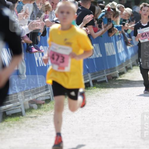 17.05.2025 - Störlauf H.Heesch http://msf.ph/oto/7874080 17.05.2025 13:55:42 Ziel  meine-sportfotos.de
