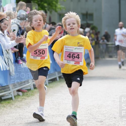 17.05.2025 - Störlauf H.Heesch http://msf.ph/oto/7874101 17.05.2025 13:55:54 Ziel  meine-sportfotos.de