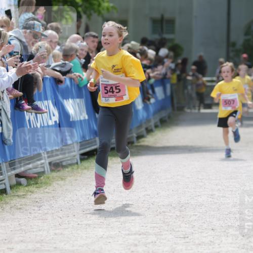 17.05.2025 - Störlauf H.Heesch http://msf.ph/oto/7874124 17.05.2025 13:56:07 Ziel  meine-sportfotos.de
