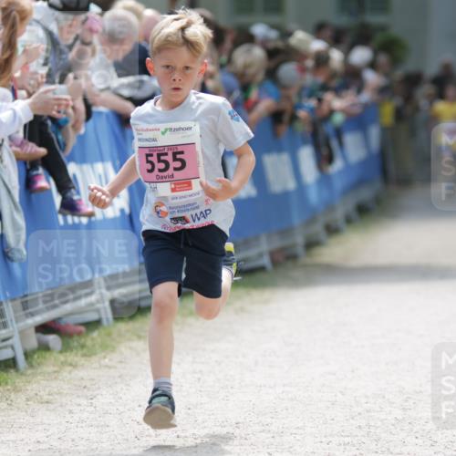 17.05.2025 - Störlauf H.Heesch http://msf.ph/oto/7874153 17.05.2025 13:56:23 Ziel  meine-sportfotos.de