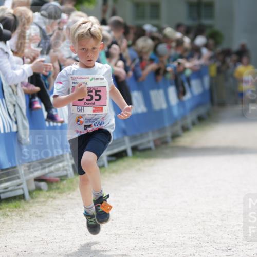 17.05.2025 - Störlauf H.Heesch http://msf.ph/oto/7874156 17.05.2025 13:56:23 Ziel  meine-sportfotos.de
