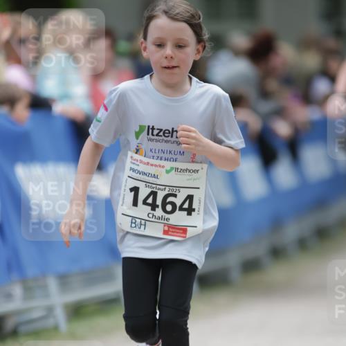 17.05.2025 - Störlauf H.Heesch http://msf.ph/oto/7875764 17.05.2025 15:01:02 Ziel  meine-sportfotos.de