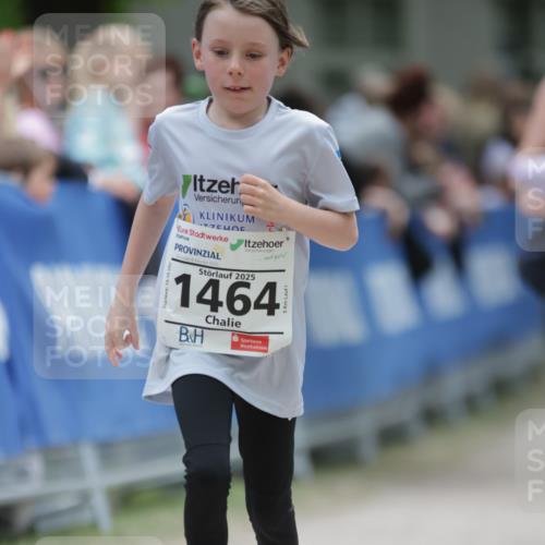17.05.2025 - Störlauf H.Heesch http://msf.ph/oto/7875766 17.05.2025 15:01:02 Ziel  meine-sportfotos.de