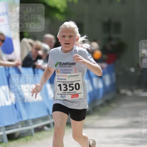 17.05.2025 - Störlauf H.Heesch http://msf.ph/oto/7875821 17.05.2025 15:04:49 Ziel  meine-sportfotos.de