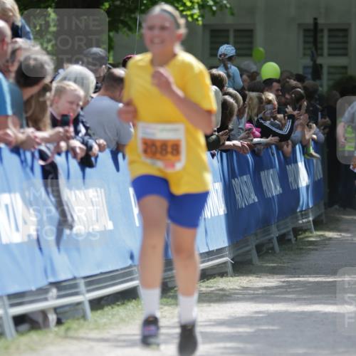 17.05.2025 - Störlauf H.Heesch http://msf.ph/oto/7876340 17.05.2025 15:29:41 Ziel  meine-sportfotos.de