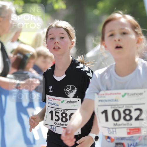 17.05.2025 - Störlauf H.Heesch http://msf.ph/oto/7877404 17.05.2025 14:50:03 Ziel  meine-sportfotos.de