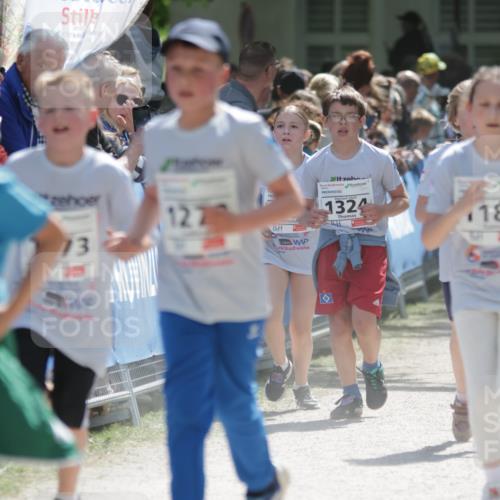 17.05.2025 - Störlauf H.Heesch http://msf.ph/oto/7877884 17.05.2025 14:50:42 Ziel  meine-sportfotos.de