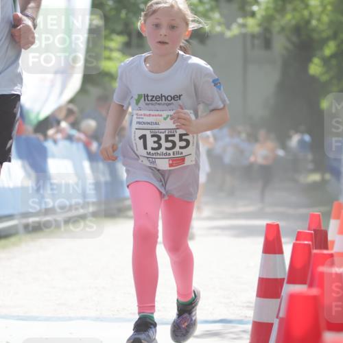 17.05.2025 - Störlauf H.Heesch http://msf.ph/oto/7878781 17.05.2025 14:52:15 Ziel  meine-sportfotos.de