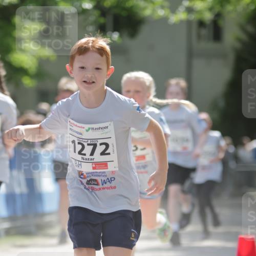 17.05.2025 - Störlauf H.Heesch http://msf.ph/oto/7878971 17.05.2025 14:52:37 Ziel  meine-sportfotos.de