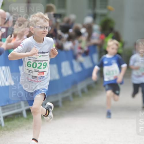 17.05.2025 - Störlauf H.Heesch http://msf.ph/oto/7879642 17.05.2025 13:16:34 Ziel  meine-sportfotos.de