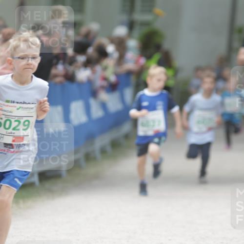 17.05.2025 - Störlauf H.Heesch http://msf.ph/oto/7879643 17.05.2025 13:16:34 Ziel  meine-sportfotos.de