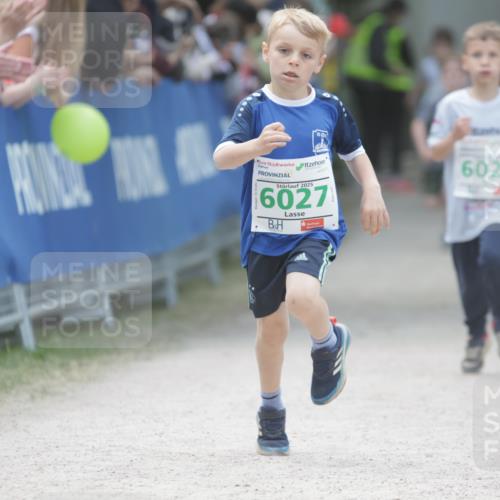 17.05.2025 - Störlauf H.Heesch http://msf.ph/oto/7879647 17.05.2025 13:16:36 Ziel  meine-sportfotos.de