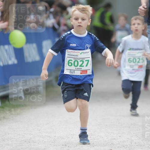 17.05.2025 - Störlauf H.Heesch http://msf.ph/oto/7879652 17.05.2025 13:16:36 Ziel  meine-sportfotos.de