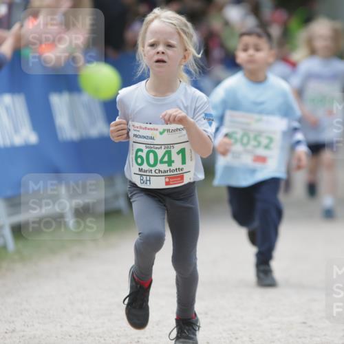 17.05.2025 - Störlauf H.Heesch http://msf.ph/oto/7879706 17.05.2025 13:16:48 Ziel  meine-sportfotos.de