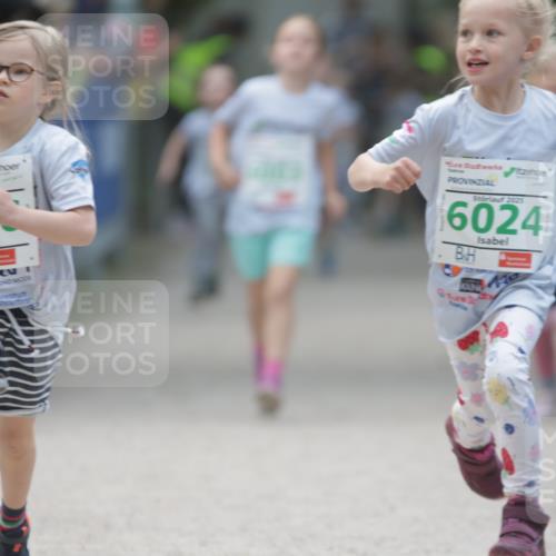 17.05.2025 - Störlauf H.Heesch http://msf.ph/oto/7879790 17.05.2025 13:17:07 Ziel  meine-sportfotos.de