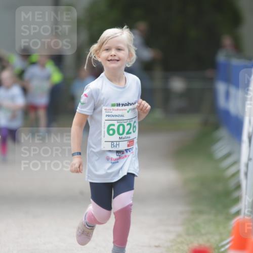 17.05.2025 - Störlauf H.Heesch http://msf.ph/oto/7879806 17.05.2025 13:17:09 Ziel  meine-sportfotos.de