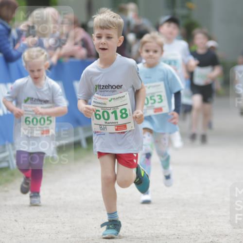 17.05.2025 - Störlauf H.Heesch http://msf.ph/oto/7879868 17.05.2025 13:17:22 Ziel  meine-sportfotos.de
