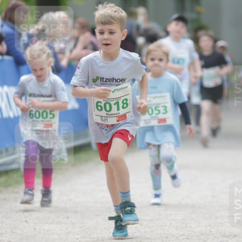 17.05.2025 - Störlauf H.Heesch http://msf.ph/oto/7879872 17.05.2025 13:17:22 Ziel  meine-sportfotos.de