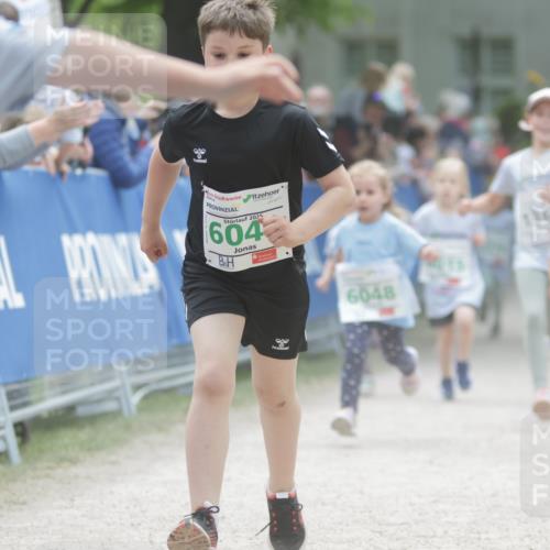 17.05.2025 - Störlauf H.Heesch http://msf.ph/oto/7879893 17.05.2025 13:17:26 Ziel  meine-sportfotos.de