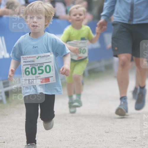 17.05.2025 - Störlauf H.Heesch http://msf.ph/oto/7879974 17.05.2025 13:17:39 Ziel  meine-sportfotos.de