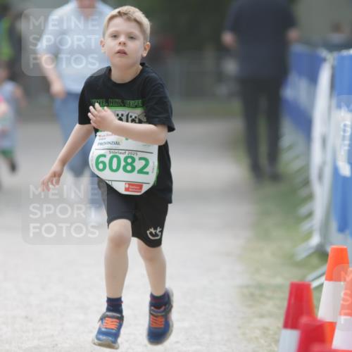 17.05.2025 - Störlauf H.Heesch http://msf.ph/oto/7879989 17.05.2025 13:17:50 Ziel  meine-sportfotos.de