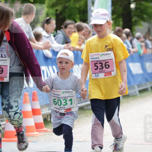 17.05.2025 - Störlauf H.Heesch http://msf.ph/oto/7880094 17.05.2025 13:18:59 Ziel  meine-sportfotos.de