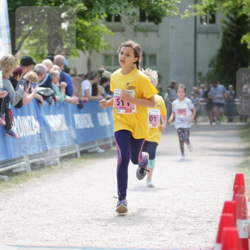 17.05.2025 - Störlauf H.Heesch http://msf.ph/oto/7880127 17.05.2025 14:00:06 Ziel  meine-sportfotos.de