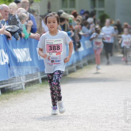 17.05.2025 - Störlauf H.Heesch http://msf.ph/oto/7880169 17.05.2025 14:00:09 Ziel  meine-sportfotos.de
